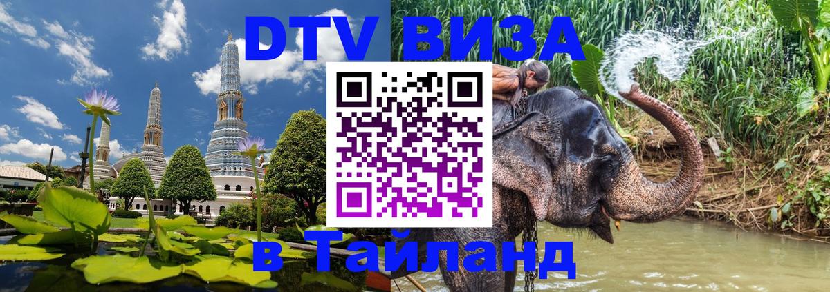 Оформление DTV визы под ключ: стоимость и тарифы, только загранпаспорт - Дамаск 